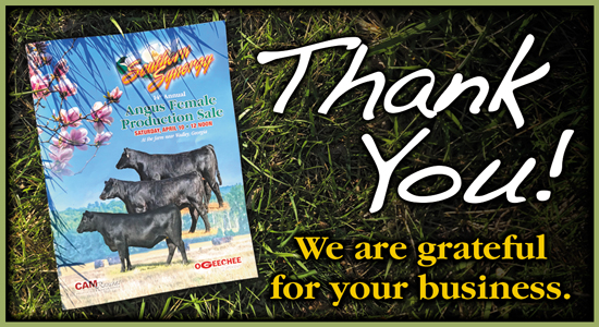 Southern Synergy Spring Sale thank you art