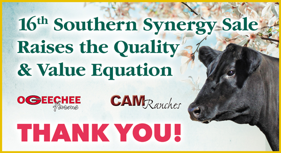 16th Annual Southern Synergy Artwork