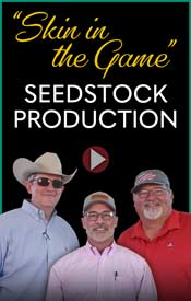 Skin in the Game Seedstock Production
